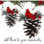 BANBERRY DESIGNS Red Berries on Wire Stems for Christmas Tree DIY Crafts –Red Holiday Home Décor – Decorative Floral Accessories Approximately 2.75 inches Tall