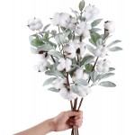 CEWOR 5pcs Cotton Stems 23.5 Artificial Cotton Flower Branches with Lambs Ear Leaves for Home Farmhouse Style Floral Wedding Decoration