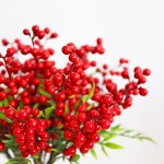 Christmas Tree Picks Red Berries 10PCS Holly Stems Home Decor Winter Floral Xmas Arrangement Artificial Flower Wreath Tree Holiday Decorations