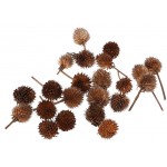 Colcolo 50pcs Natural Dried Flowers Fruits Rusitc Accents Home Table Decor Ornaments