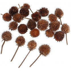 Colcolo 50pcs Natural Dried Flowers Fruits Rusitc Accents Home Table Decor Ornaments