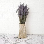 Dried Lavender Bundles Total 250 Stems 100% Natural Lavender Flowers for DIY Flower Arrangements Home Party Wedding Decor