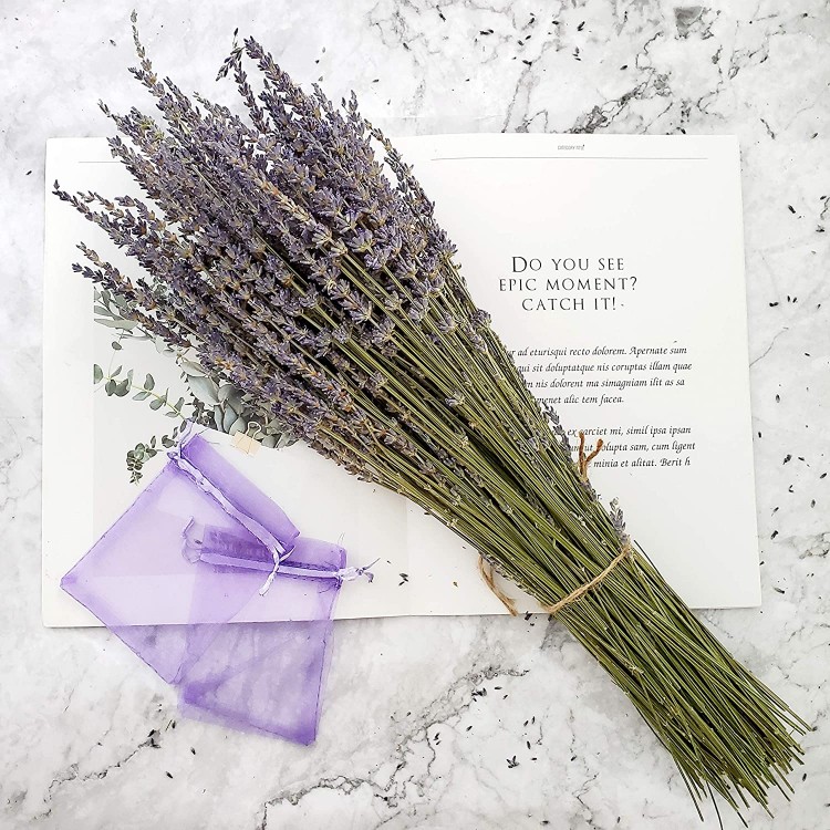 Dried Lavender Bundles Total 250 Stems 100% Natural Lavender Flowers for DIY Flower Arrangements Home Party Wedding Decor
