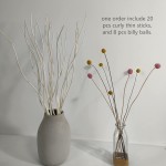 Dried Natural Curly Willow Branch 20 Pieces Decorative TwistedWhite Sticks 23” Colorful Craspedia Billy Balls 8 Pcs for Home Decor