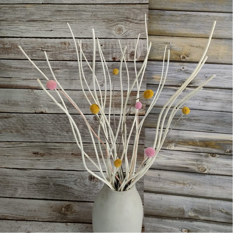 Dried Natural Curly Willow Branch 20 Pieces Decorative TwistedWhite Sticks 23” Colorful Craspedia Billy Balls 8 Pcs for Home Decor