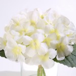 GreenHouzz Artificial Hydrangea with Faux Water in Clear Glass Vase Silk Flower Arrangement for Home Wedding Table Centerpiece Decoration Cream New