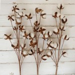 idyllic Pack of 6 Cotton Stems 31 Inches Tall 12 Cotton Bolls Per Stem Real Elastic Cotton Stalk Rustic Floral for Home Decor Wedding Centerpiece Farmhouse Style