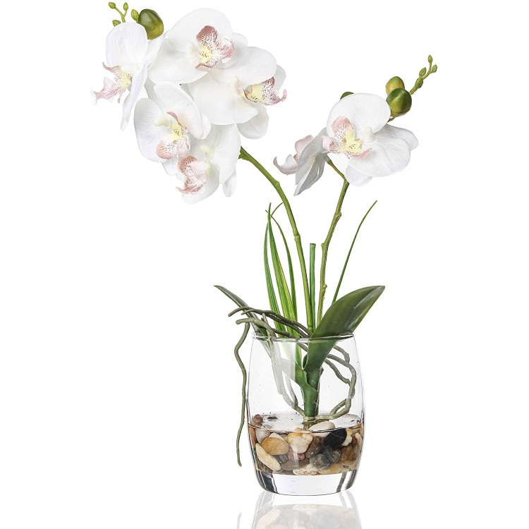 Jusdreen Artificial Flower Bonsai with Glass Vase Vivid Orchid Flowers Arrangement Phalaenopsis Flowers Pot for Home Office Décor House DecorationsGlass Vase White Orchid