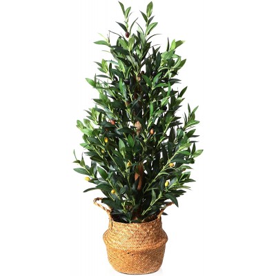 Kazeila Artificial Olive Tree 35" Fake Potted Silk Olive Leaves Plant with Handmade Seagrass Basket Plastic Greenery Faux Tree Home Décor for Indoor Porch Balcony Bedroom Bathroom