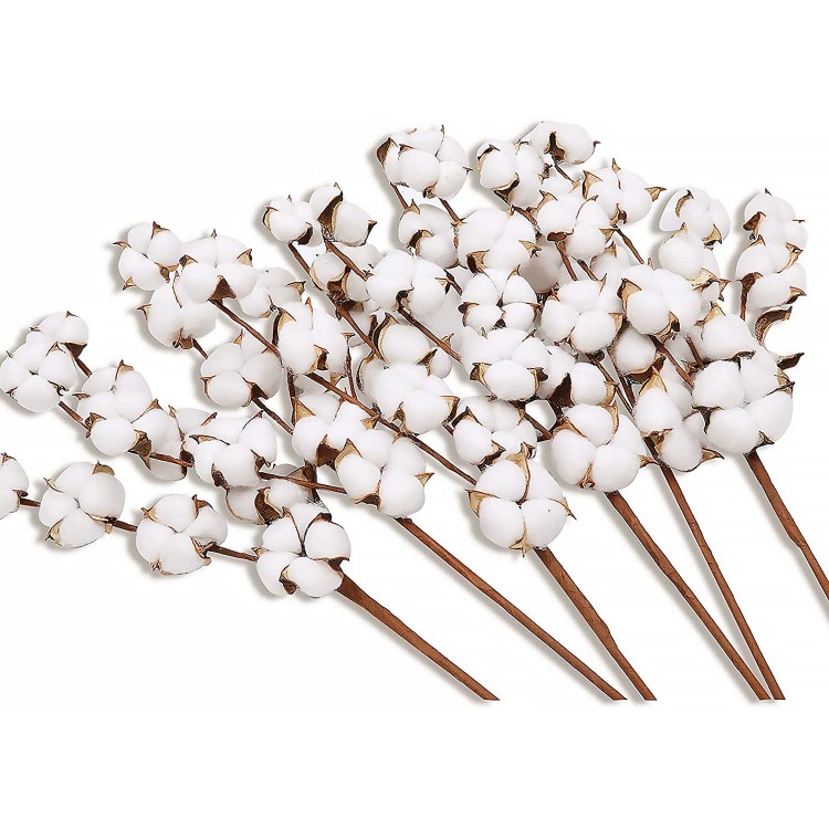 Lyrccoa Cotton Stems 6 Pack with 11 Cotton Balls Per Stem 29 Inch Cotton Branches Farmhouse Decor Fall Decorations for Rustic Home Office Hotel Wedding