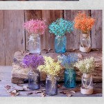 m·kvfa Natural Dried Flower Baby's Breath Home Decor Natural Dried Flower Full Stars Gypsophila for Wedding Home DIY Decor Blue