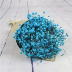m·kvfa Natural Dried Flower Baby's Breath Home Decor Natural Dried Flower Full Stars Gypsophila for Wedding Home DIY Decor Blue
