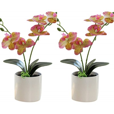 MSUIINT 2 Pcs Artificial Phalaenopsis Orchids Flowers with White Vase 14.2 Inch Tall Real Touch Orchids Flowers in Vase Fake Orchids Desk Plants Arrangements for Home Decor Powder Green