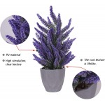 Potted Lavender Artificial Plants Lavender Faux Flowering Plant with Gray Ceramic Vase for Home Party & Wedding Décor 12 inch Purple-Green
