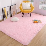 Quenlife Soft Bedroom Rug Plush Shaggy Carpet Rug for Living Room Fluffy Area Rug for Kids Grils Room Nursery Home Decor Fuzzy Rugs with Anti-Slip Bottom 3 x 5ft Pink