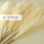 River&Rain 6PCS Fake Pampas Grass Floral Decor Faux Pampas Grass Artificial Branch Natural Beige Dried Boho Home Decor Plant Small 23in Short Large 43in Tall