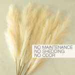 River&Rain 6PCS Fake Pampas Grass Floral Decor Faux Pampas Grass Artificial Branch Natural Beige Dried Boho Home Decor Plant Small 23in Short Large 43in Tall