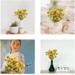 Uieke 36Pcs Natural Dried Flowers Dried Craspedia Billy Balls Flowers Billy Button Balls Flowers 17.5’’ Fake Yellow Flowers Bouquet for DIY Farmhouse Wedding Party Home Office Decor