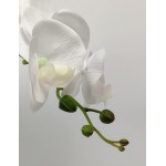 W&W Artificial Orchid Plants & Flowers Arrangement in Ceramic Pot Fake Faux White Orchid with Gold Vase Realistic Phalaenopsis Orchids for Home Office Decor 15*17