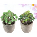 Yardwe 2pcs Succulents Potted Artificial Succulent Plants Fake Cactus Cacti Plants with Pots Bonsai Decor for Home Office Accents