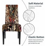 Numland 1 Pack Leopard Print Dining Room Chair Covers Jungle African Animal Skin Texture Cheetah Wildlife Camouflage Short Stretchable Polyester Removable Washable for Home Restaurant Banquet