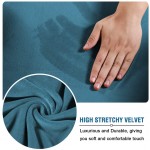 Rich Velvet Stretch 2 Piece Chair Cover Chair Slipcover Sofa Cover Furniture Protector Couch Soft with Elastic Bottom Chair Couch Cover with Arms Machine WashableChair,Peacock Blue