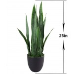25 Inch Evergreen Artificial Sansevieria Snake Plant for Home&Office Décor Green Color