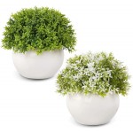 2PCS Potted Fake Plant for Bathroom Home Office Decor Small Artificial Plants in Pots for Home Decor Office Desk or Floating Shelf Grass Shrubs