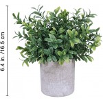 3 Pack Mini Potted Plants Artificial Green Eucalyptus Boxwood Rosemary Greenery in Pots Faux Potted Herbs Small Houseplants 8.4-9.3 Tall for Indoor Greenery Home Bedroom Kitchen Farmhouse Decor