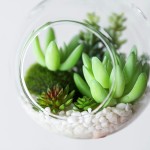 6 Design Hanging Glass Terrarium with Faux Succulents Artificial Green Succulents Plants Arrangements in terrariums for Gifts and Home Decor.