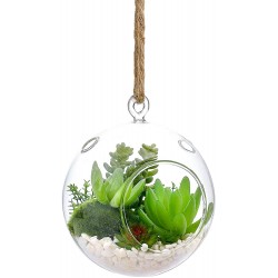 6" Design Hanging Glass Terrarium with Faux Succulents Artificial Green Succulents Plants Arrangements in terrariums for Gifts and Home Decor.