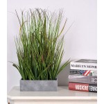 AlphaAcc 20 inch Green PVC Grass Plant in Pot Realistic Looking Fake Sea Grass for Home Office Decor