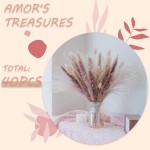 AMOR'S TREASURES 43cm 17” 40 Pcs Pack Natural Dried Pampas Grass Decor 15Pc Reed Flowers 15Pc Bunny Tail 10Pc for Home Decor Flora Boho Décor Bouquet For Home Bedroom Living Room Natural Brown