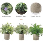 ANGLEANG XIONGYIJIA 3 Pack Small Potted Artificial Plastic Plants Mini Fake Rosemary Plant Faux Flower Houseplants Compatible with Home Decor Indoor Color : Green
