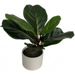 Artificial 13 Natural Touch Fiddle Fig Leaf W Ceramic Pot Small Realistic Touch Indoor for Your Office Desk Bathroom Kitchen Room Décor