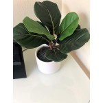 Artificial 13 Natural Touch Fiddle Fig Leaf W Ceramic Pot Small Realistic Touch Indoor for Your Office Desk Bathroom Kitchen Room Décor