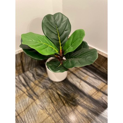 Artificial 13" Natural Touch Fiddle Fig Leaf W  Ceramic Pot Small Realistic Touch Indoor for Your Office Desk Bathroom Kitchen Room Décor