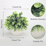 Artificial Plants Greenery Eucalyptus Plants in White Pot Realistic and Lifelike for Bathroom Decor Desk Office and Home Decoration Ceramic Pot