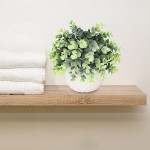 Artificial Plants Greenery Eucalyptus Plants in White Pot Realistic and Lifelike for Bathroom Decor Desk Office and Home Decoration Ceramic Pot
