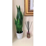 Artificial Sansevieria Faux Plant Mother's in Law Tongue Plant in Pot -Small Realistic Indoor Faux Snake Plant 21 Tall for Your Office Desk Bathroom Shelf Kitchen Bedroom Living Room Decor