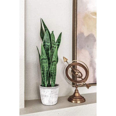Artificial Sansevieria Faux Plant Mother's in Law Tongue Plant in Pot -Small Realistic Indoor Faux Snake Plant 21" Tall for Your Office Desk Bathroom Shelf Kitchen Bedroom Living Room Decor