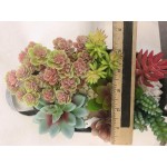 Artificial Succulent Arrangements in Oval Tin Planter w Various Realistic Faux Succulents in Tin Planter w Decorative Rocks Indoor-Outdoor for Your Office Desk Bathroom or Bedroom Room Décor