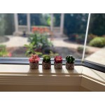 Artificial Succulent Small Plants Set of 4 Mini Faux Potted Succulents in Stone Pots Decorative Fake Assorted Cacti for Shelfs in Office Living Room Windowsills and Home Decor