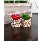 Artificial Succulent Small Plants Set of 4 Mini Faux Potted Succulents in Stone Pots Decorative Fake Assorted Cacti for Shelfs in Office Living Room Windowsills and Home Decor