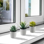 Artificial Succulents Set of 3 Mini Realistic Fake Plants with Plastic Pots for Home and Office Decoration Including Aloe Echeveria laui and Haworthia coarctata f. greenii 4in H x 3.5in W