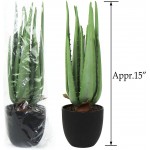 Beebel Artificial Succulent Fake Aloe for Bathroom Home Office Decor,Faux Succulent Plant with Black Plastic Planter,Artificial Potted Plant for House Decor Aloe Succulent 13 Leaf