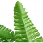 BLUECELL 1x Green Imitation Fern Plastic Artificial Grass Leaves Plant for Home Wedding Decor