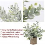 C APPOK Artificial Potted Plants 3 Pack Mini Fake Eucalyptus Plant Small Plastic Green Grass with Pot Faux Eucalyptus Rosemary Plants for Shelf Home Decor Indoor Table Decoration
