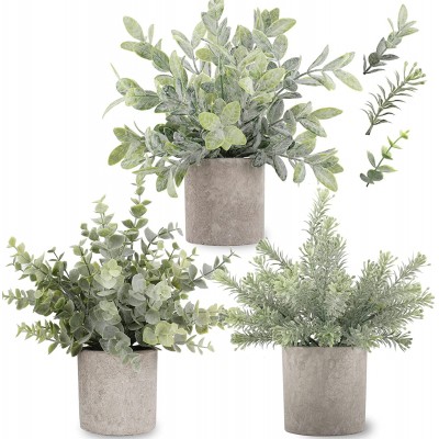 C APPOK Artificial Potted Plants 3 Pack Mini Fake Eucalyptus Plant Small Plastic Green Grass with Pot Faux Eucalyptus Rosemary Plants for Shelf Home Decor Indoor Table Decoration