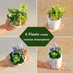 CADEAU Set of 2 Artificial Fake Succulent Plants 6 Faux Plant in 2 Marble Pot Small Mini Potted Succulents for Indoor Decor Home Desk Table Bathroom Real Modern Decorative for Aesthetic Room
